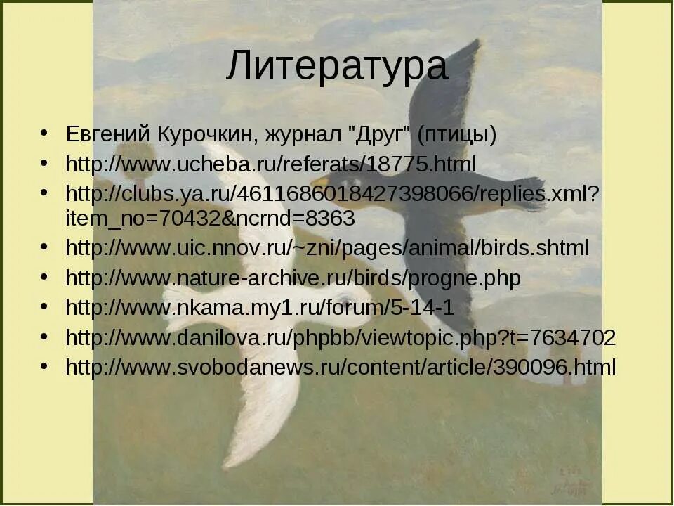 Всю зиму прожила тут ласточка