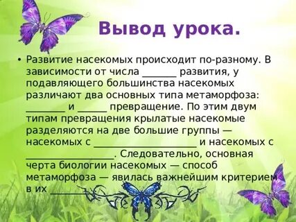 Вставьте в текст развитие насекомых