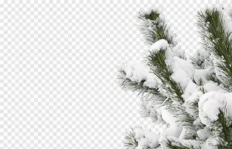 Снег png