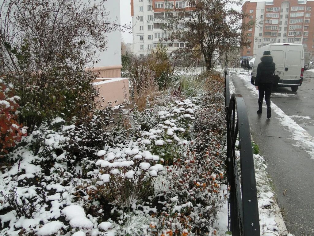 Первые заморозки в Одинцово. Рязань погода зимой. Свободный погода зимой. Зима 2011 погода.