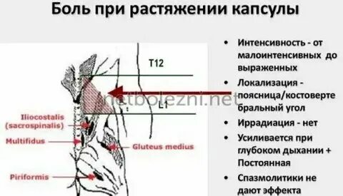 Боль слева при напряжении. Боль слева при напряжении
