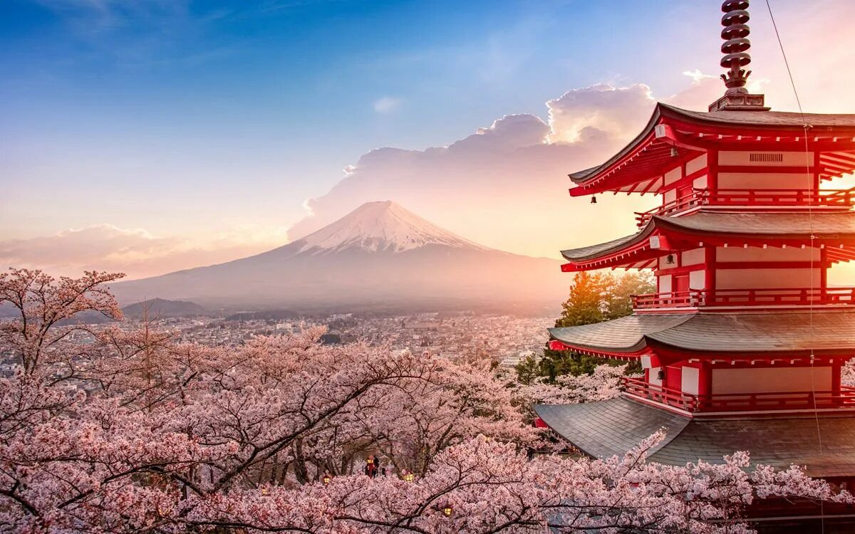 Japan release. Japan release. Японские амо. Киси япония. Japan release.