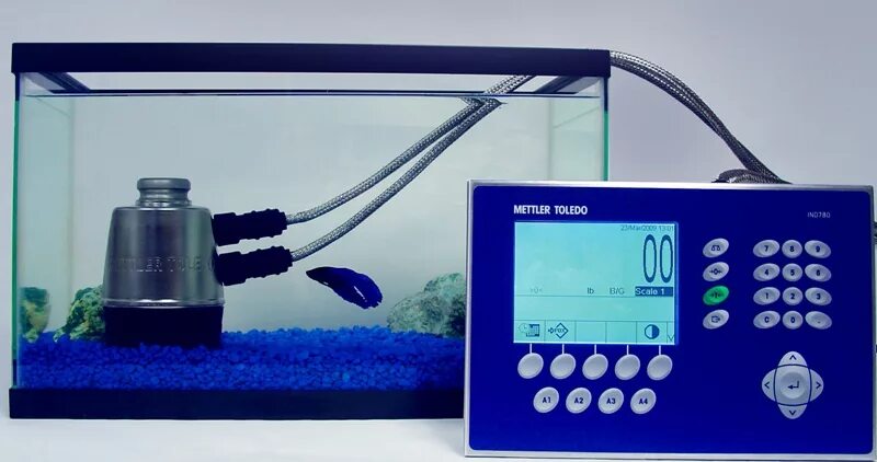 Немо меттлер биография. Mettler Toledo s213 Госреестр. Датчик Mettler Toledo 3650. Модуль дозирующий Mettler Toledo 51109030. "Mettler Toledo TGA/DSC-1" (Швейцария)..