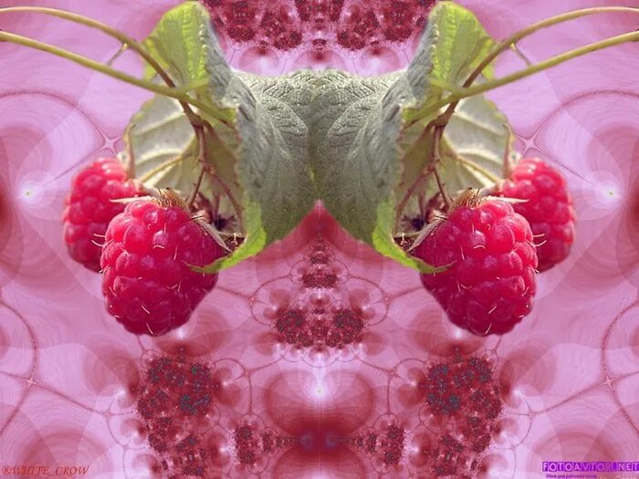 ягода малина катя катерина