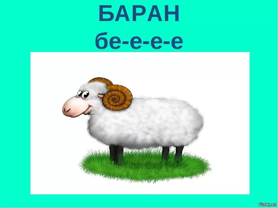 Баран. Баран для детей. Барашек бе. Бе бе Овечка. Как говорит баран