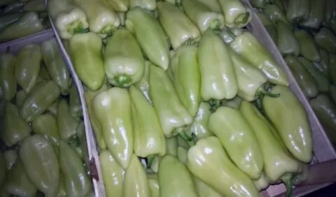Хранения перца