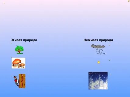 Неживая и живая природа 2 класс конспект