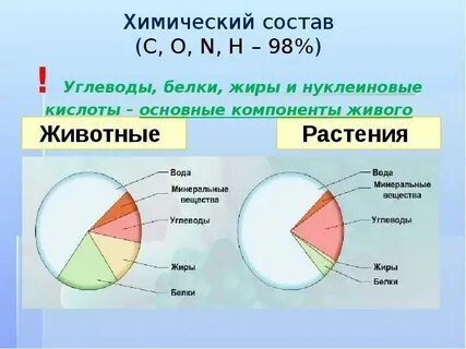 Химический состав всех живых организмов сходен