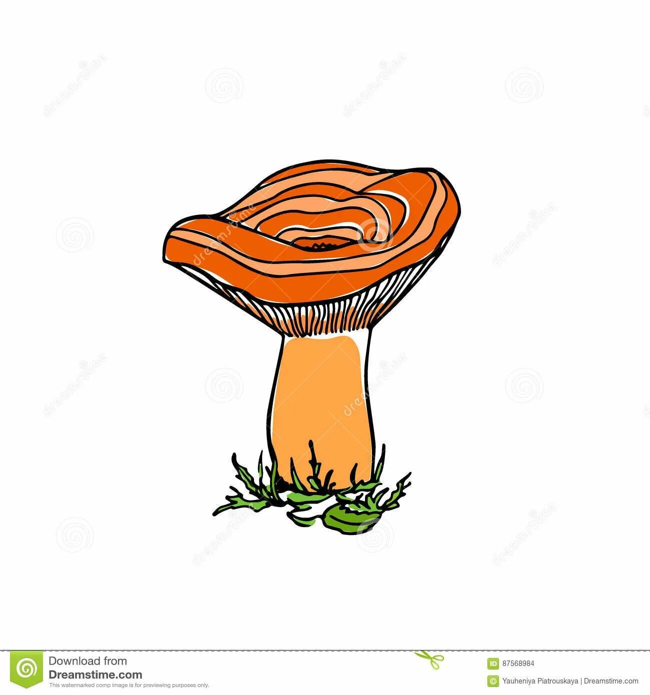 Рыжик нарицательное. Рыжики грибы. Рыжик гриб рисунок. Нарисовать гриб Рыжик. Гриб Рыжик для детей.