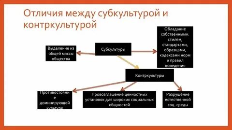 Различия между культурой и искусством