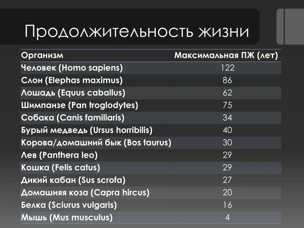 Сколько живет тома. Продолжительность жизни лошади. Средняя Продолжительность жизни лошади. Продолжительность жизни животных лошадь. Продолжительность жизни лошади в домашних условиях.