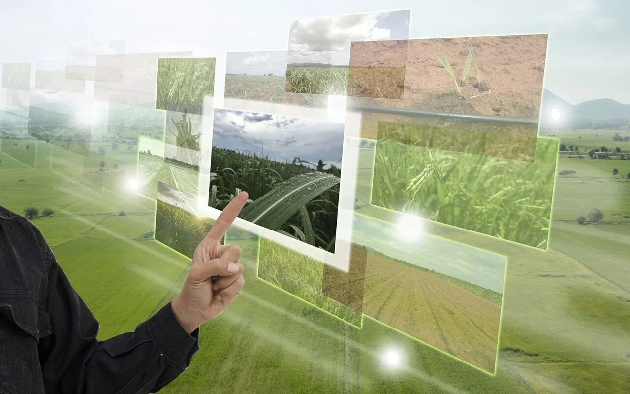 Цифровое сельское. Инновации в сельском хозяйстве. Инновации в АПК. Информационные технологии в сельском хозяйстве. Цифровые технологии в сельском хозяйстве.