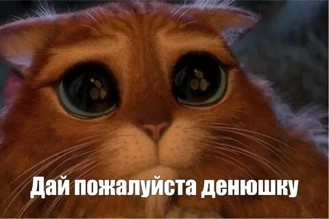 Глаза просят любви
