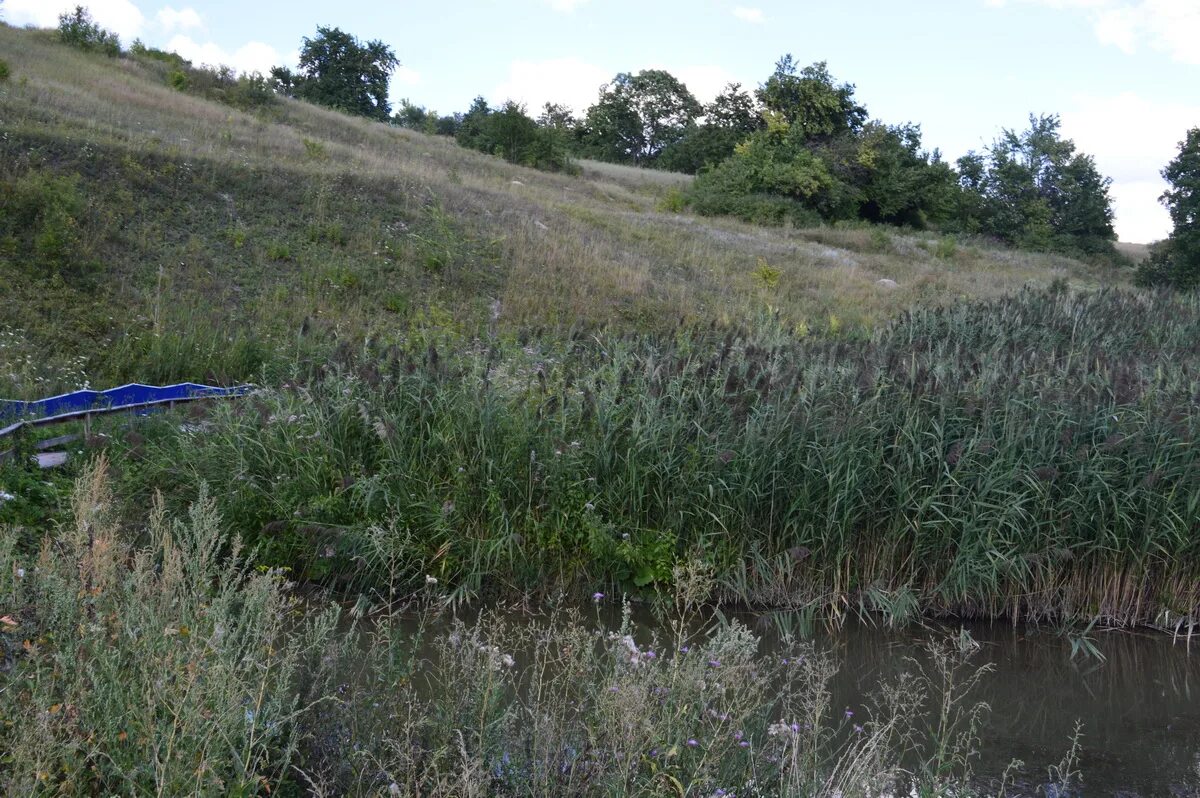 село чернавка воронежская область. чернавка панинский район воронежская область. чернавка панинский район. чернавка воронежская область. усманские выселки воронежская область.