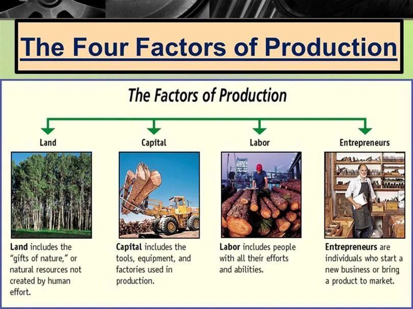 Main resources