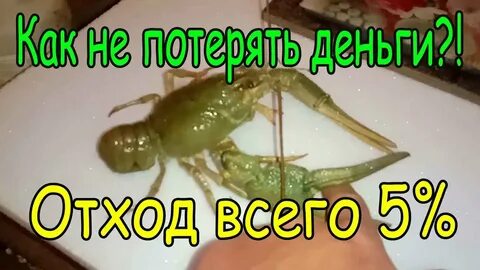 Рак исчез