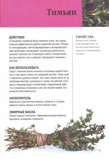 Чабрец полезные противопоказания