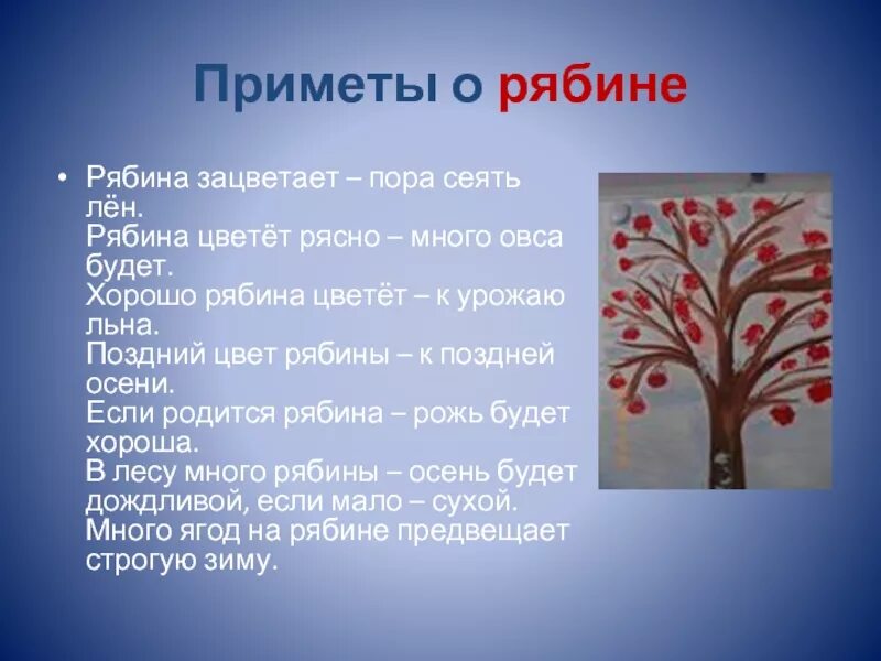 Глагол от слова рябина. Предложение про рябину. Словарное слово рябина в картинках. Предложение к слову рябина. Предложение про рябину 3 класс.