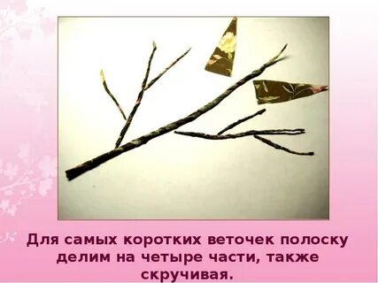 Ветка сколько