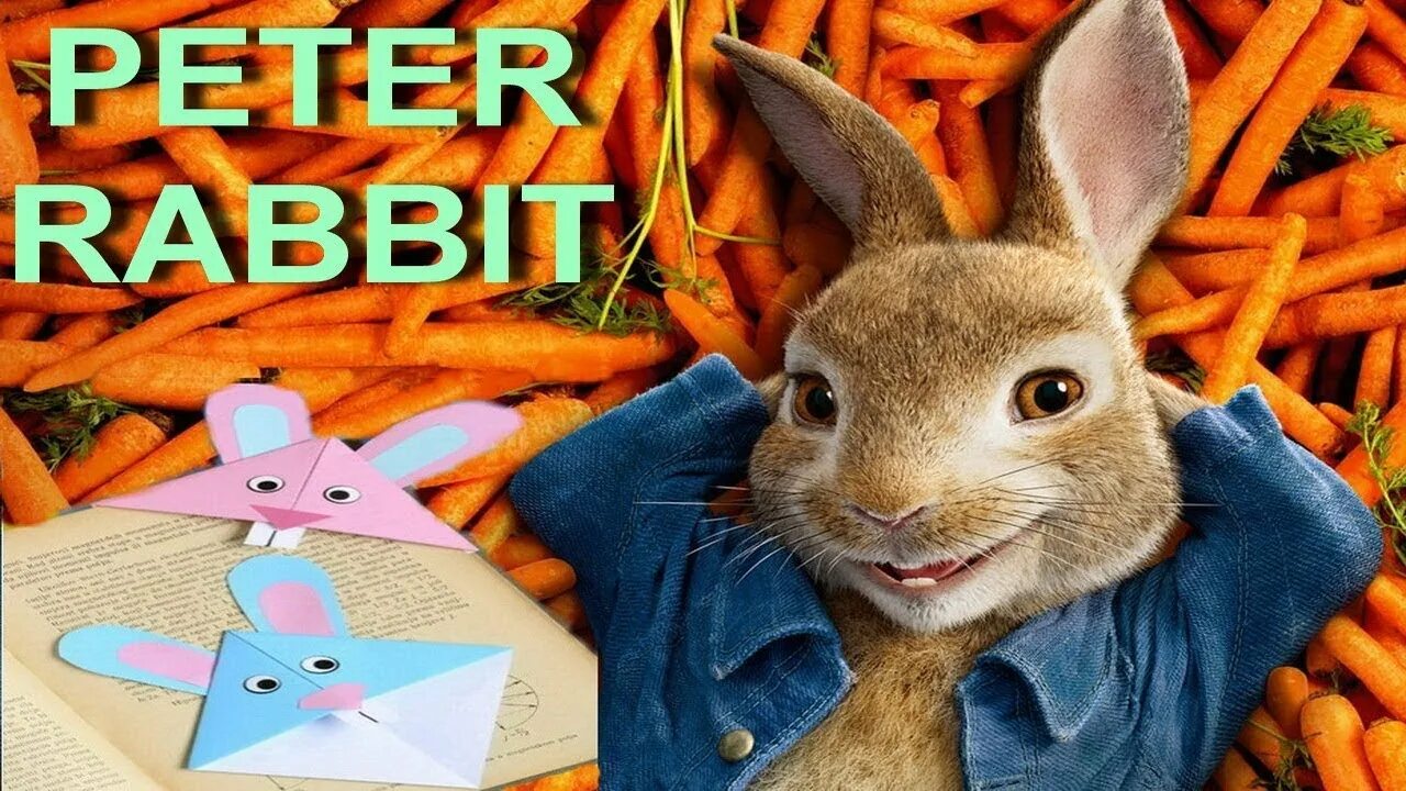 Rabbit pro