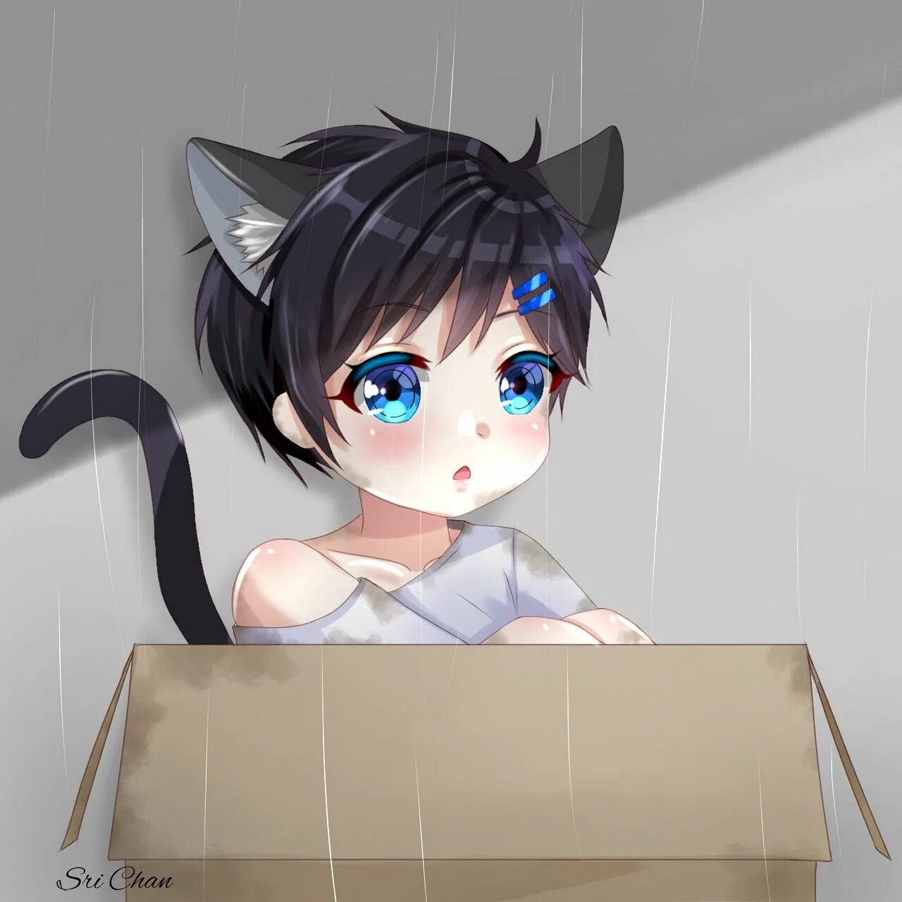 Неко котик. Неко котик