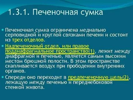 Печеночную и преджелудочную сумки разделяет