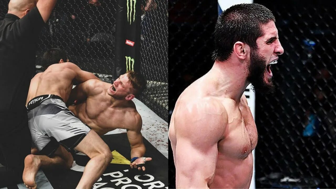 Бой литвина с махачевым. Махачев юфс. Бой литвина с махачевым. Ufc махачев волкановский. Бой литвина с махачевым.