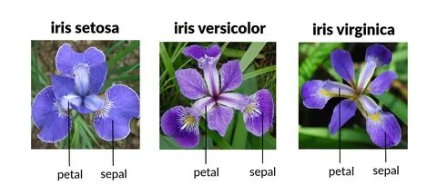 Iris installer