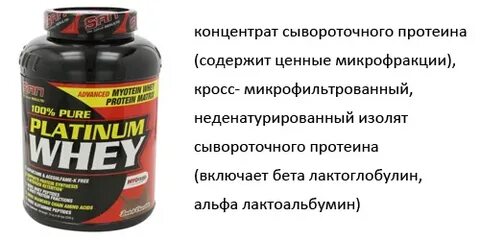 Можно ли протеином набрать вес без тренировок