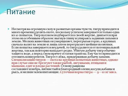 Питания и не смотря на