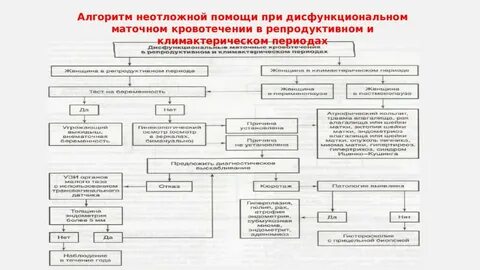 Алгоритм оказания помощи при комах