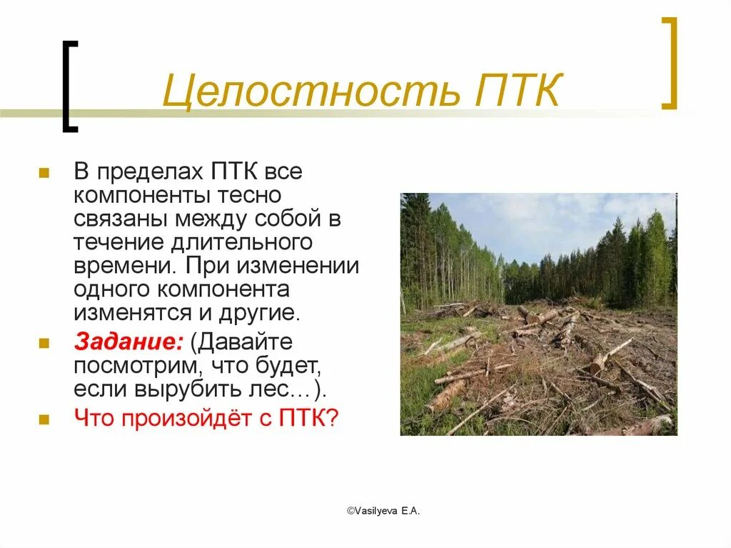 Создание птк. Целостность птк. характеристика птк. природный территориальный комплекс. компоненты птк.