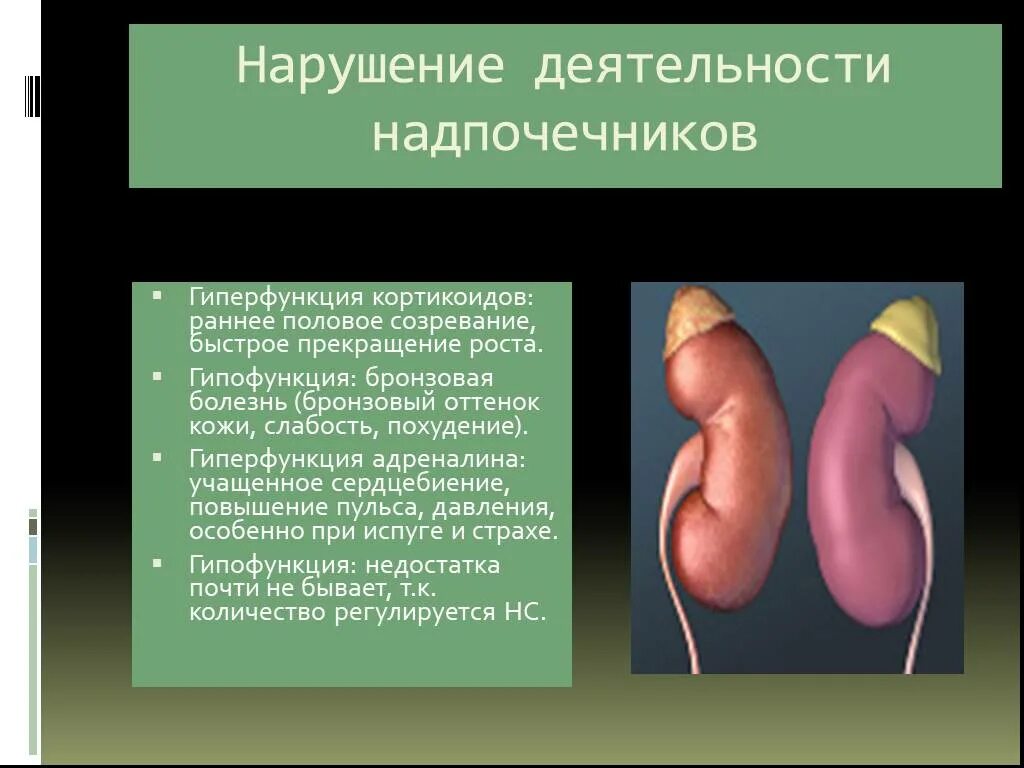 Какие заболевания надпочечников. Гиперфункция надпочечников заболевания. Нарушенная функция надпочечников. Гиперфункция надпочечников проявления. Надпочечники гиперфункция и гипофункция.