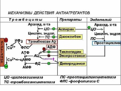 Механизм действия какого препарата основан на подавлении