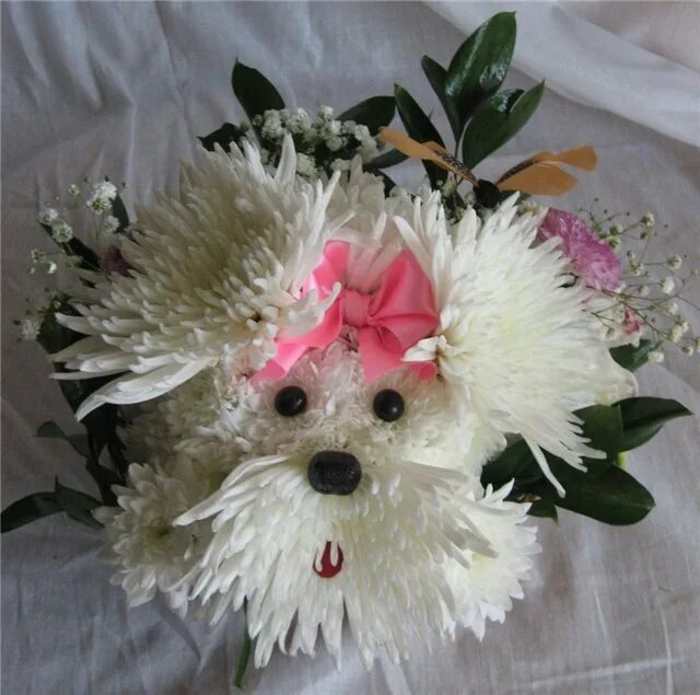 Зверюшки из цветов. Необычные композиции. Игрушки из цветов. Букеты цветов животных. Букеты цветов животных.