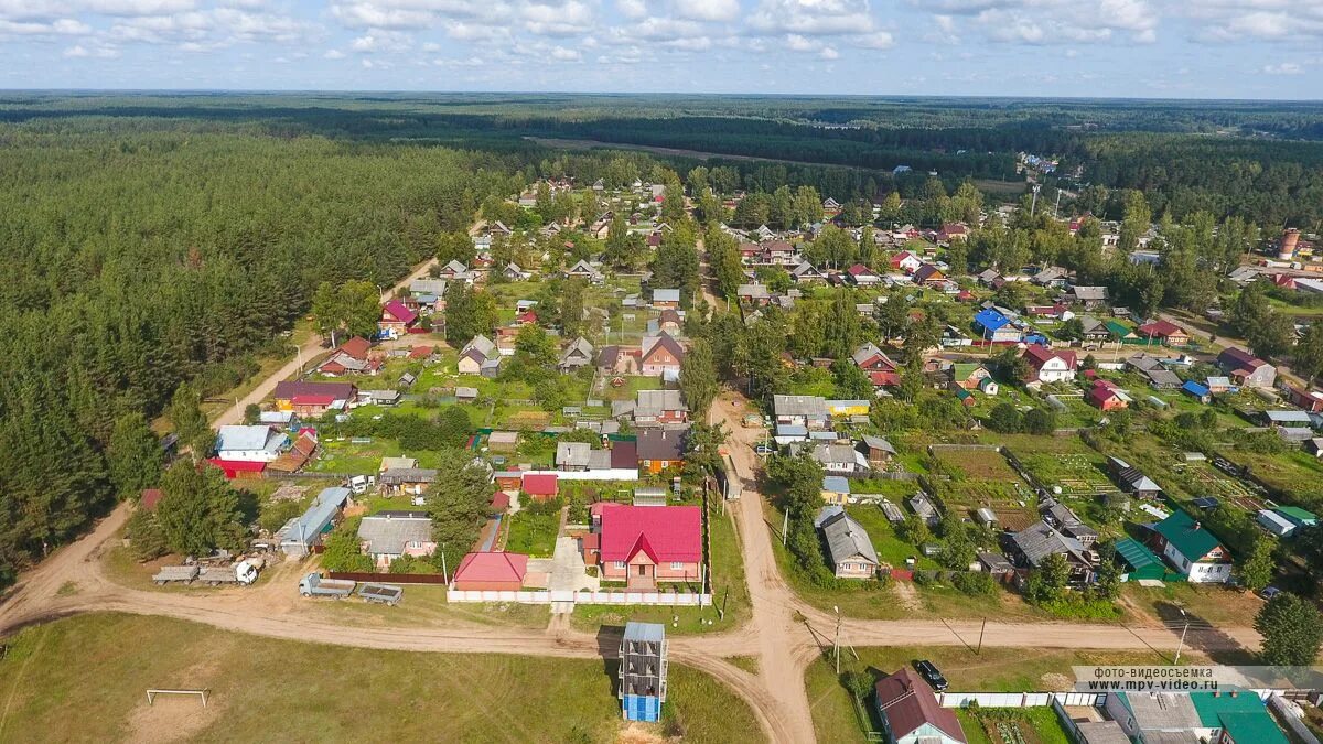 Пестово Новгородская область. Деревня Пестово Новгородская область. Пестово. Пестовский район. Новгородская обл. Пестовский район деревня Пестово..