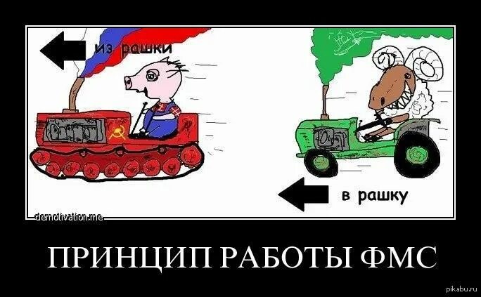 Про рашку. Рашка. шутки про рашку. день рашки.