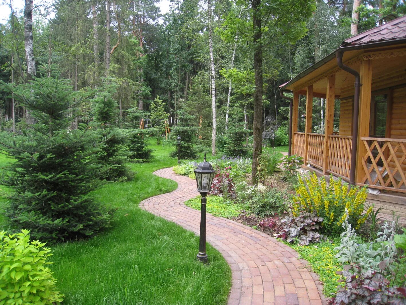 Создание лесного участка. Создание лесного участка. Участок в стиле натургарден. Дмитрий бородавкин ландшафтный архитектор. Хвойники в лесном ландшафте.