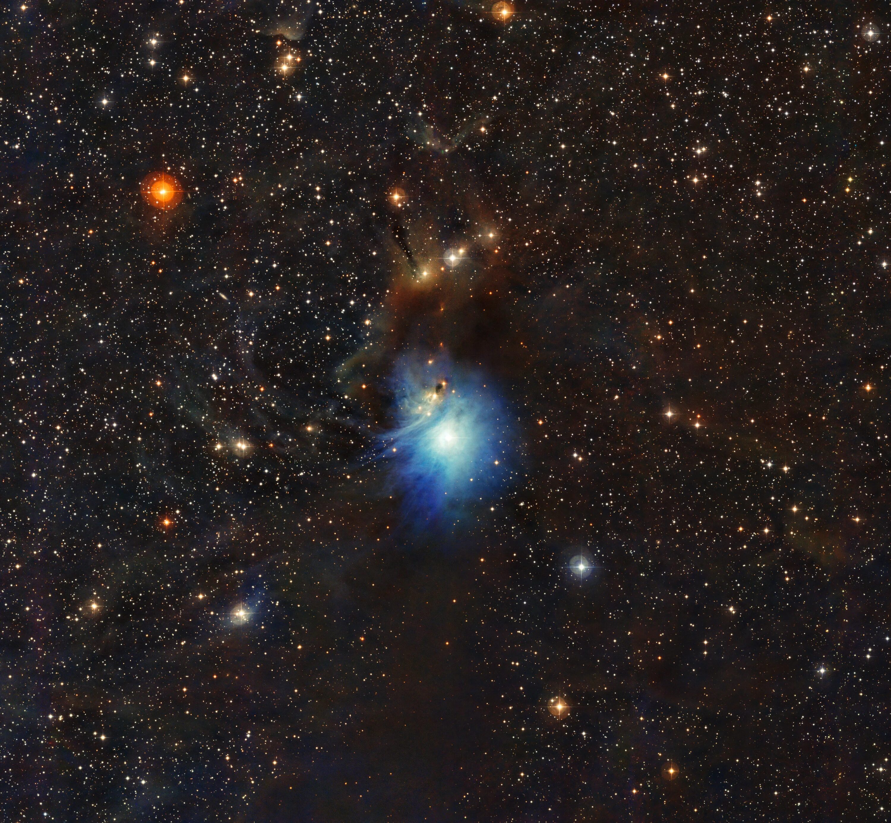Новая звезда в туманности ic 2631. Новые звезды. Звезда астрономия. Молодые звезды астрономия.