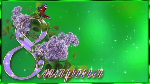Видеоролики 8