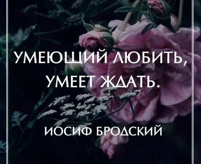 Цитата подожди