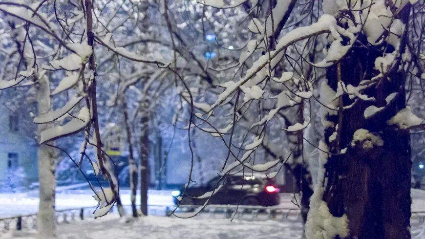 Краснодар зимой. Этот год без зимы. Предстоящая зима. Зима. Улицы краснодара зимой.