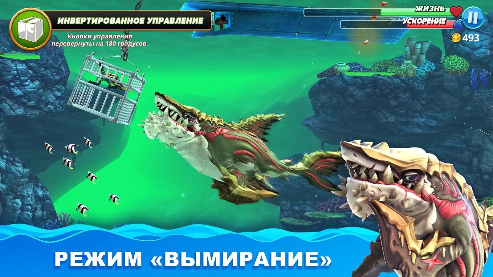 Hungry shark много денег и кристаллов. Игра голодная акула 2. Акула из Хангри Шарк. Голодной акулы мир игра. Хангри Шарк белая акула.