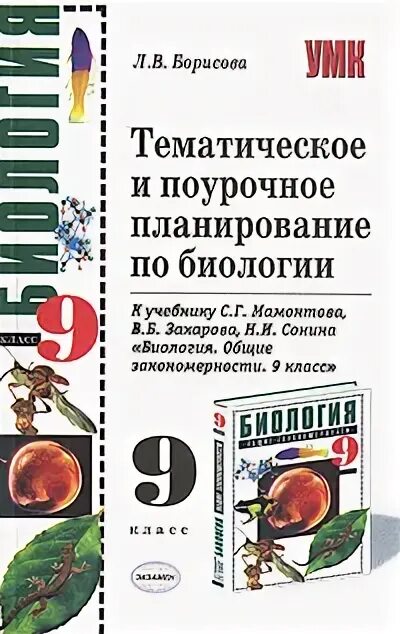 Биология 9 класс поурочные разработки. Поурочные планы по учебнику 9 класс биология. поурочные разработки по биологии 9 класс мамонтов захаров сонин. поурочные разработки по биологии 7 класс к учебнику мамонтов захаров. тематическое и поурочное планирование по биологии.