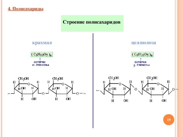 Полисахариды строение молекул. Строение полисахаридов. Строение полимерной цепи крахмала. Полисахариды формула крахмала.