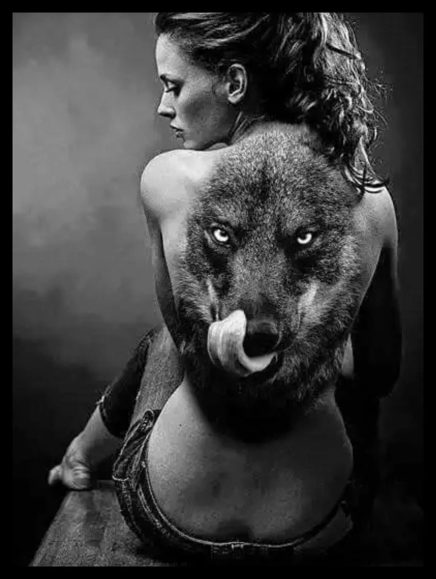 Woman with animals. Кейт Мосс взгляд волчицы. Девушка с волком. Волчица и девушка. Красивая девушка с волком.