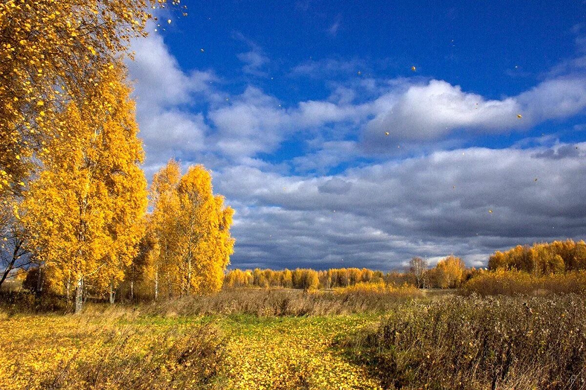 Осень конец солнечных. Бабье лето. осень бабье лето. золотая осень. золотое бабье лето.