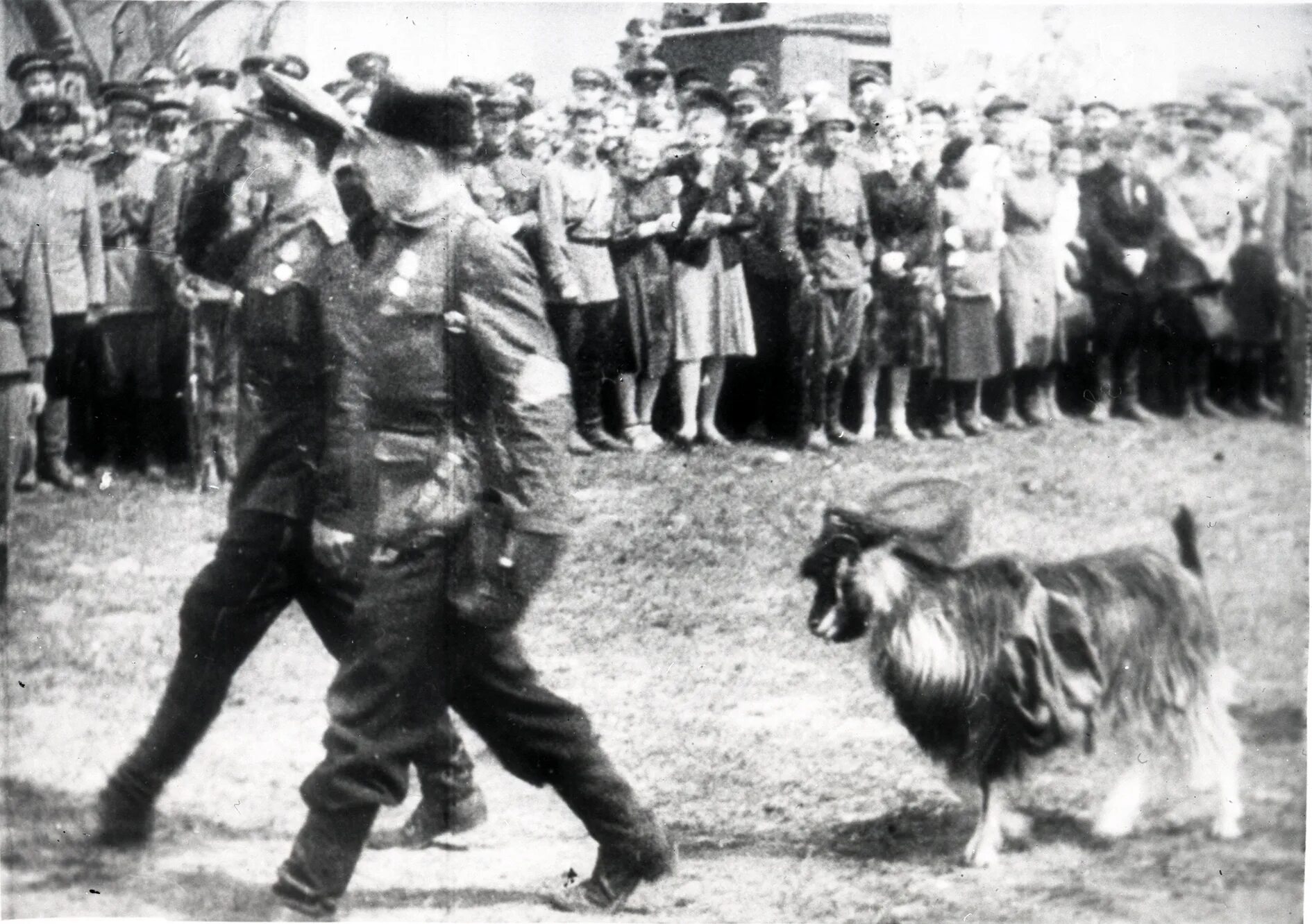 1944 г состоялся парад побежденных. 16 июля 1944. парад в белоруссии 1944. партизаны в 1944 году. партизанский парад коза.