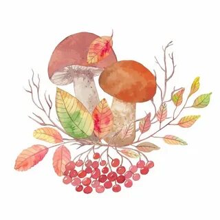 Рисуем грибы осенью
