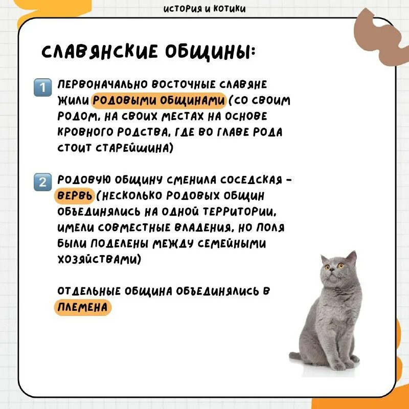 кот егэ. история котиков егэ. история котиков егэ. история и котики егэ. пробник база.